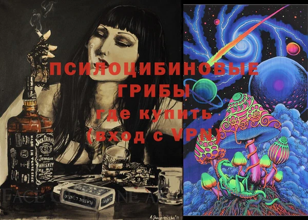 стаф Заволжье