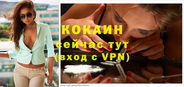 дживик Зеленокумск
