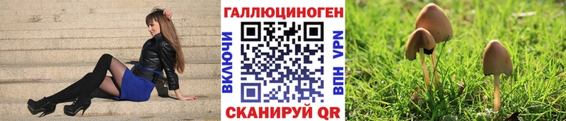 Галлюциногенные грибы Cubensis кракен маркетплейс Череповец