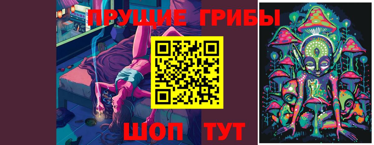 Череповец  Псилоцибиновые грибы Psilocybine cubensis  Вход с VPN  купить наркотик  Псилоцибиновые грибы мухоморы 