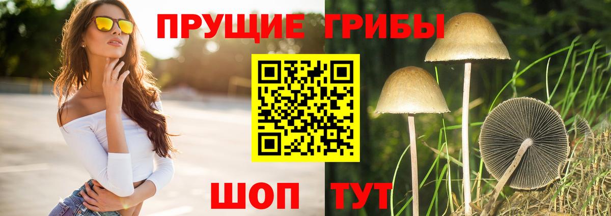 Галлюциногенные грибы ЛСД Череповец