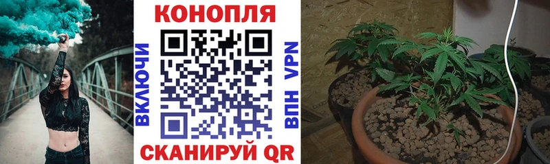 Конопля индика  сайты даркнета Telegram  Череповец 