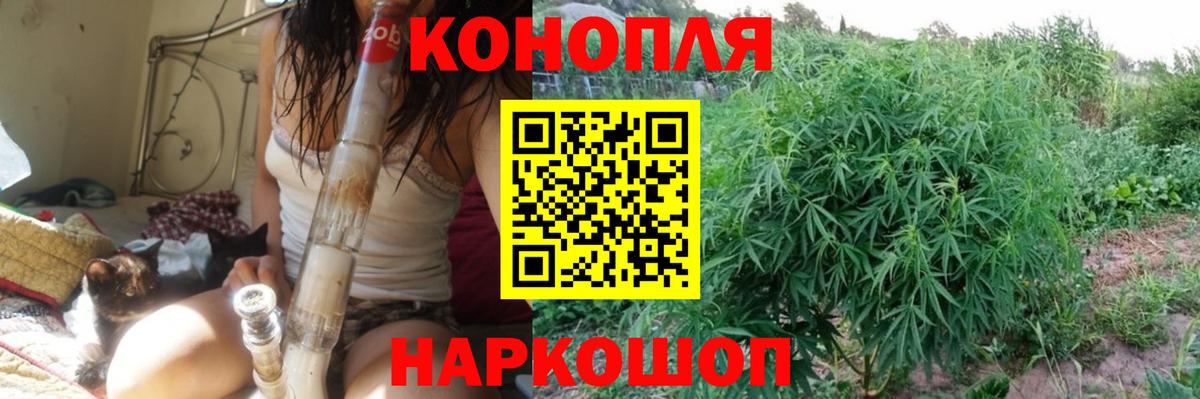 Бошки Шишки марихуана Череповец